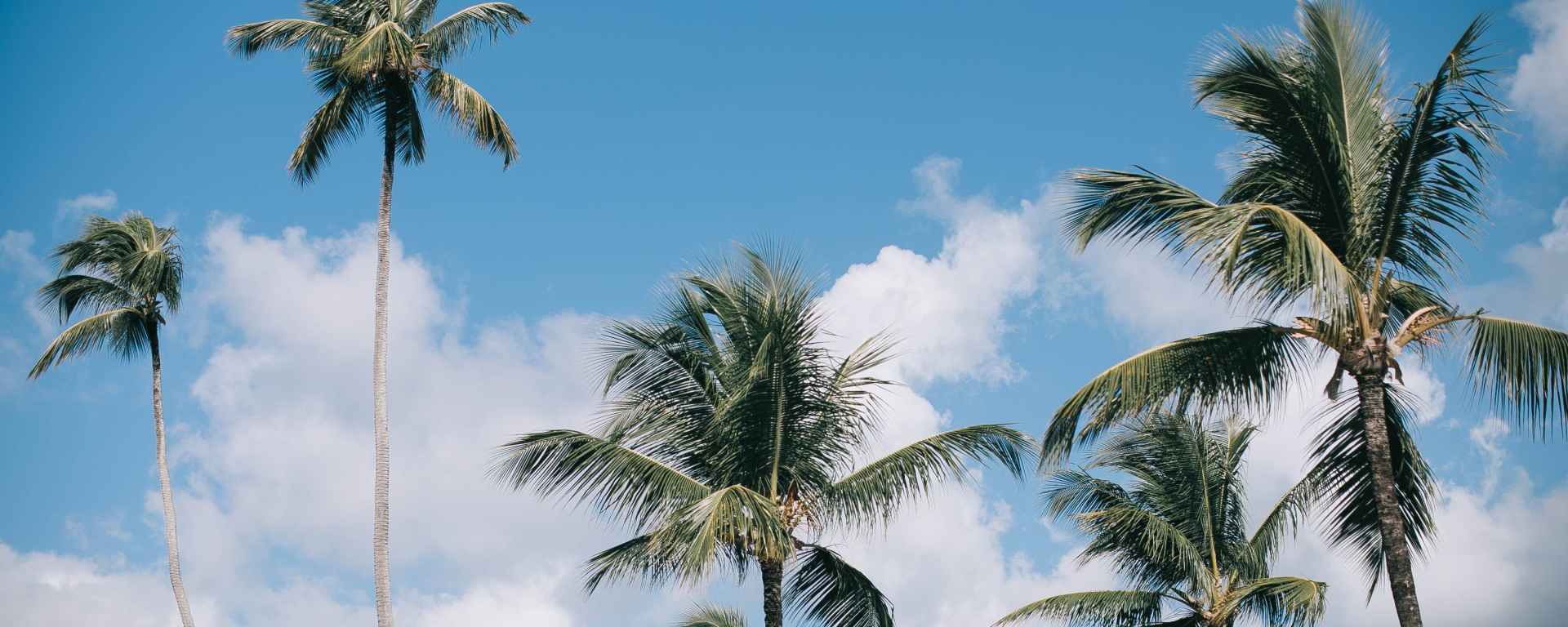 Den Dominikanske Republik